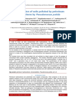 Bioremediation of soils polluted by petroleum hydrocarbons by Pseudomonas putida