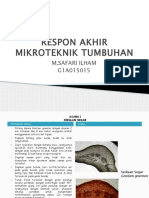 Mikroteknik Tumbuhan