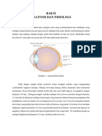 CSS Papilitis (Anat, Fisio, Defek)