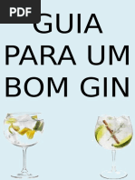 GIN.pptx