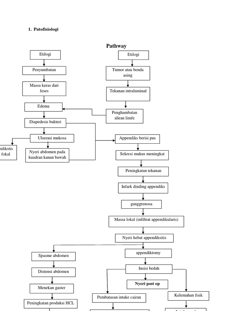 Abdominal Pain Patofisiologi Pdf