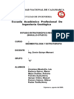 165242248-1-INFORME-SHAULLO.docx