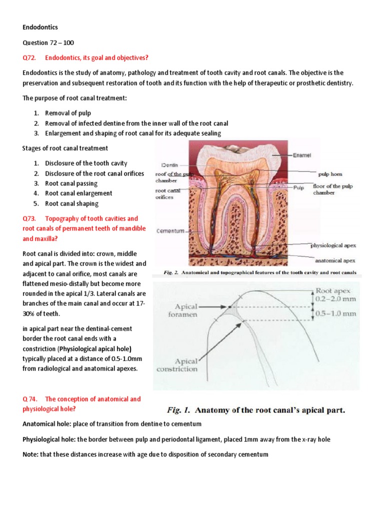 Q72. Endodontics, Its Goal and Objectives? PDF Human Tooth Dentistry