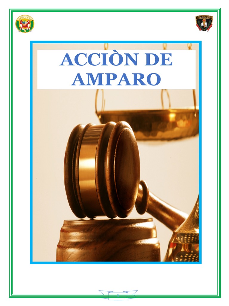 Accion de Amparo | PDF | Habeas corpus | Constitución
