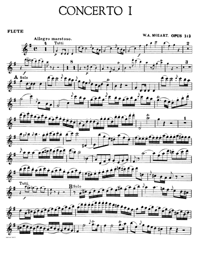 Mozart Flute Concerto Solo, Full