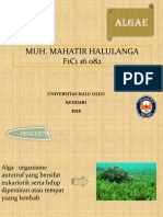 ppt mahatir 2