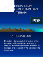 Diagnosis Dan Terapi Atresia Ileum