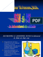 issm.pdf