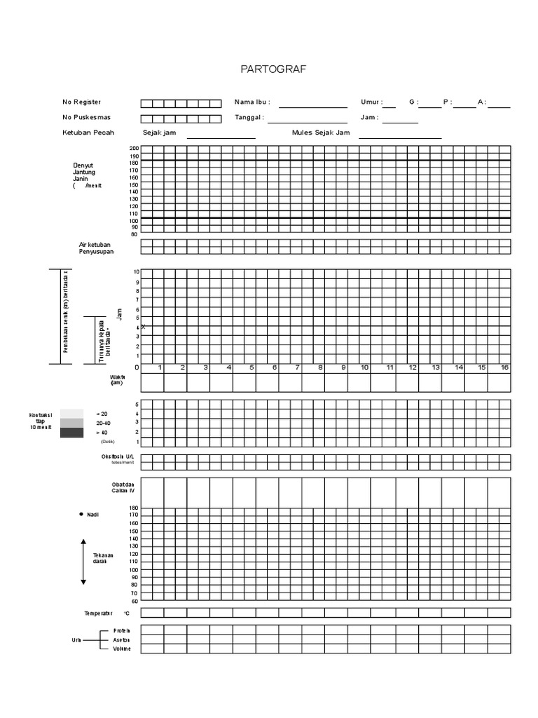 Dokumen - Tips Partograf Kosong | PDF | Kesehatan Holistik