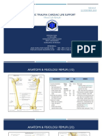 BTCLS Fraktur Femur