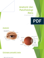 Anatomi dan Patofisiologi.pptx