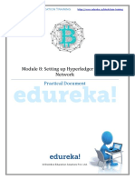 Module 8: Setting Up Hyperledger Fabric Network: Practical Document