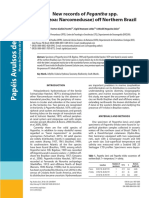 New records of Pegantha spp. (Hydrozoa