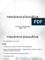 Membrana Plasmatica e Transporte de Membrana