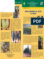 HD-4-2006-Lucumo.pdf