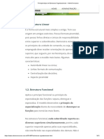 Principais tipos de Estruturas Organizacionais _ AdminConcursos.pdf