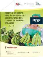 Manual Banano PDF