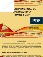 Buenas Practicas de Manufactura (BPMS) O GMP: Universidad Nacional de San Antonio Abad Del Cusco