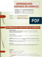 Clase Enf Parasitarias (1)