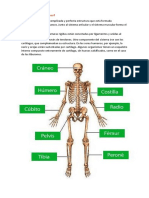Sistema Oseo