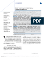 Anatomy Microquirúrgica de La Cisterna Oculomotor