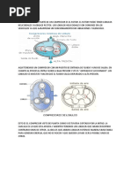 Compresor Roots | PDF | Máquinas | Ingeniería mecánica