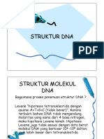 STRUKTUR DNA 1 Okt 15