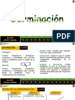 Examen de Capci Power Point Intermedio