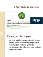 Analisis Karyotype & Idiogram