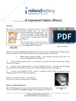 Collateral Ligament Injury Knee