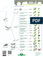 ONF_cles_feuillus_resineux.pdf