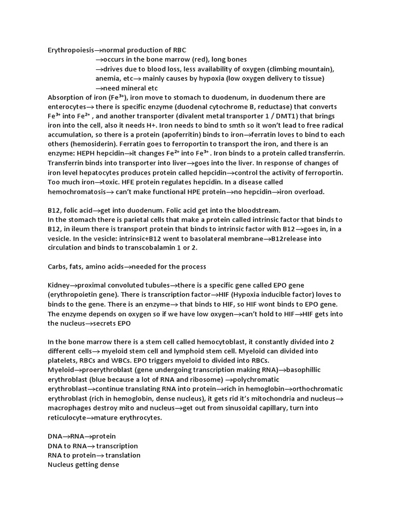 Erytropoiesis Part 1&2 Ninja Nerd Science PDF Red Blood Cell Cell