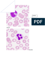 Histologia Pratica