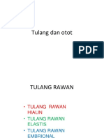 Tulang Dan Otot