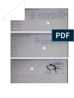 CIENCIAS NATURALES Prueb.pdf