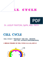 Kuliah Cell Cycle