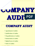 Company Audit Final