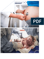 Embarazo y Parto - Imagen