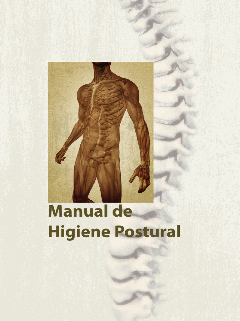 2008 Manual de Higiene Postural PDF | PDF | Vértebra | Dolor lumbar