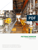 Company Profile Petracarbon