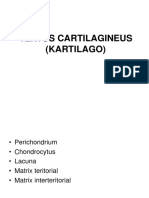 Textus Cartilagineus