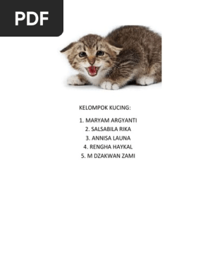 Kelompok Kucing  PDF