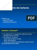Carbone Cycle