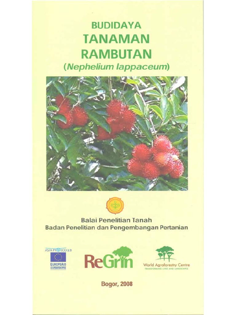 Budidaya Tanaman Rambutan | PDF