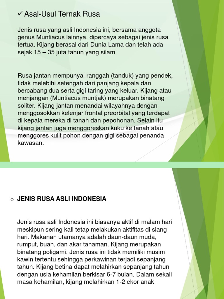 Ternak Rusa: Jenis dan Manajemen | PDF