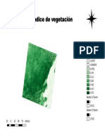 Mapa NDVI Tulum