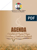 Agenda Articulada de de Las Mujeres, Mayas, Garífunas y Xincas. DEMI Final