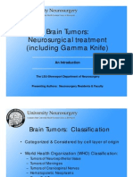Brain Tumors Neurosurgical Treatment Including Gamma Knife