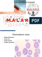 Plasmodium Malaria Praktikum Parasit