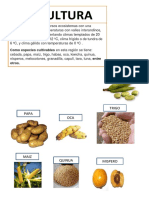 AGRICULTURA DE LA SIERRA.docx